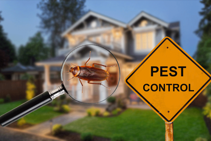 Pest Control Company Edmonton - Buzz Boss